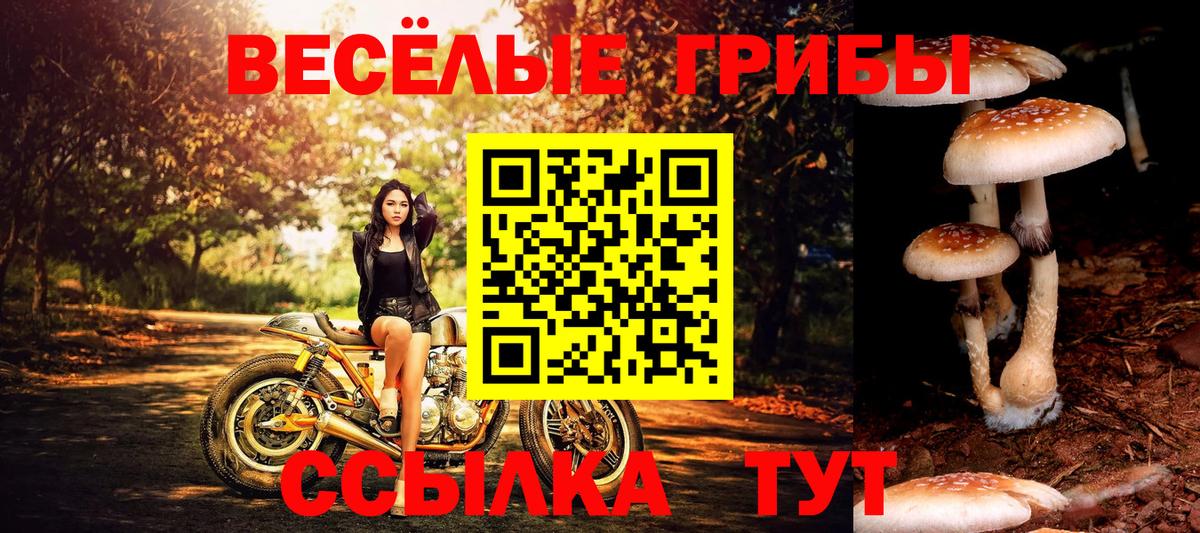 Псилоцибиновые грибы GOLDEN TEACHER Миасс